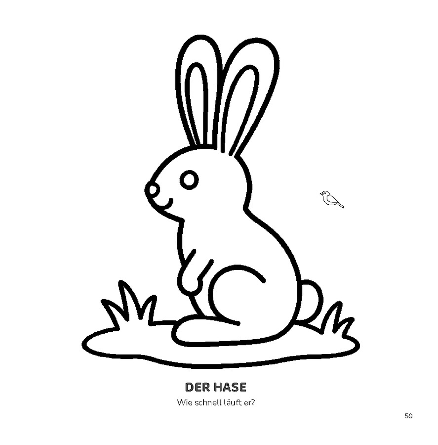 Ausmalbild Hase